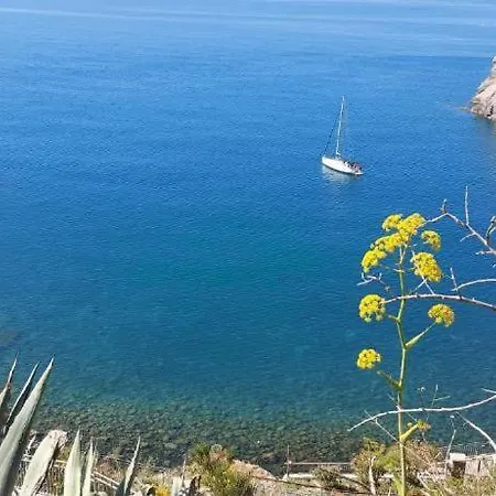 Symphony Sea View *