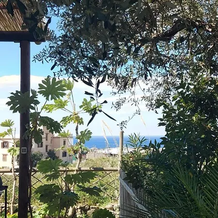 Symphony Sea View Forio (Isola d'Ischia)