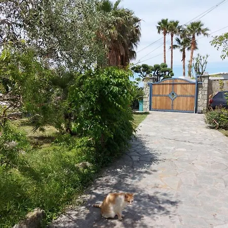 Symphony Sea View 아파트 Forio di Ischia