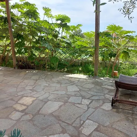 Symphony Sea View 아파트 Forio di Ischia