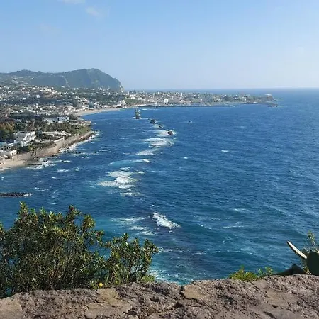 Symphony Sea View *